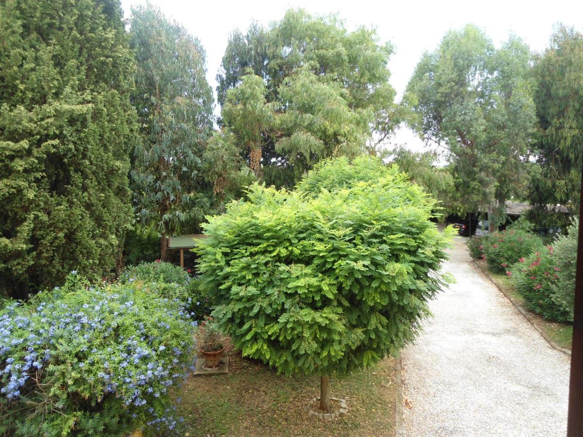 Agriturismo Le Pescine Vada Kültér fotó